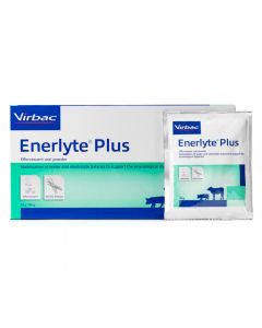 Enerlyte plus 24 x 100 gram